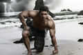 VLIES Fototapete-BODYBUILDER-(2775V)-Workout Gym Studio Beach Strand Deko Bild