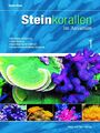Steinkorallen im Aquarium - Band 1 Daniel Knop