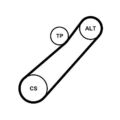 Continental Ctam Keilrippenriemensatz 7Pk880K1 für Renault Wind + Clio IV 05->