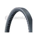 1x Keilriemen CONTINENTAL CTAM 11,9X670Ld passend für FORD SEAT VW