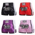 Secure Fit Boxershorts mit elastischem Bund für MMA und Fitnessbegeisterte