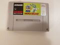 SNES - Tiny Toon Adventures: Buster Busts Loose für Super Nintendo