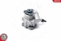 Hydraulikpumpe Lenkung ESEN SKV 10SKV233 für AUDI A4 B7 8EC Avant 8ED B6 8E5 8E2