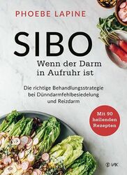 SIBO - Wenn der Darm in Aufruhr ist: Die richtige Behandlungsstrategie bei Dünnd