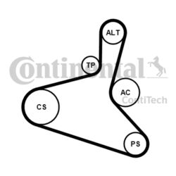 CONTINENTAL CTAM Keilrippenriemensatz 6DPK1195K2 für VW AUDI BORA A3 GOLF T5 4 1