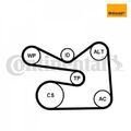 Keilrippenriemensatz CONTINENTAL CTAM 6PK1733K3 für VW Polo