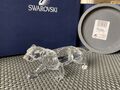 SELTENER pensionierter Swarovski Kristall Leopard 217093 neuwertig verpackt afrikanische Wildtiere