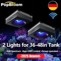 PopBloom 2Stk RL90 aquarium led vollspektrum meerwasser led beleuchtung aquarium