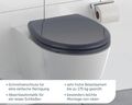 WC Sitz Toilettendeckel Anthrazit Absenkautomatik Schnellverschlusstechnik