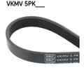 Keilrippenriemen SKF VKMV 5PK1160 für Citroën Peugeot XM