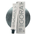 Schwarzkopf Igora Royal SW Slate Grey 60ml - Permanente Färbung