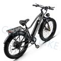 Elektrofahrrad Fat Bike 26 Zoll E Mountainbike 1000W E-fahrrad 48V 20Ah EBike