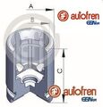 AUTOFREN SEINSA D02526 Kolben für Bremssattel Kolben Bremssattel 