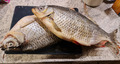 Rotaugen  Plötze Fisch getrocknet, gesalzen & gedörrt  1kg  сушёная ........