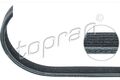 TOPRAN KEILRIPPENRIEMEN passend für AUDI A3 TT FORD GALAXY SEAT ALHAMBRA CORDOBA