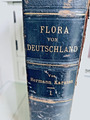 FLORA von Deutland,Ostereich und der Schweiz. Karsten, Hermann 1895