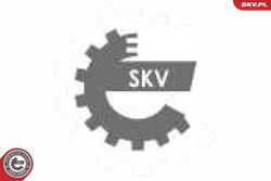 ESEN SKV 17SKV625 Sensor für Kraftstoffdruck Sensor Kraftstoffdruck 