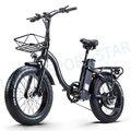 20 Zoll Mountainbike 800W Elektrofahrrad 48V 15AH E Bike 7 Gänge Fat Bike E MTB