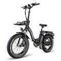 NEW FAFREES e Bike 20 Zoll Klapprad Elektrofahrrad Fatbike 500W 48V 22,5AH