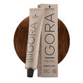 Schwarzkopf Igora Royal Absolutes 6-460 Beige-Naturschokolade Dunkelblond  60ml