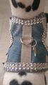 Hundegeschirr XS, Softgeschirr, Brustgeschirr,  Halsband, Welpen, Jeans Glitzer