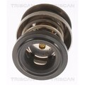 Triscan Thermostat für BMW 1er 2er 3er 4er 5er X1 X2 X3 X4 X5 Mini Mini