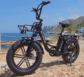 E-bike Elektrofahrrad Klapprad Fahrrad Pedelec 20Zoll 250W Citybike Engwe 25km/h