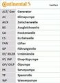 CONTINENTAL CTAM (6DPK1195K2) Keilrippenriemensatz für AUDI FORD SEAT SKODA VW