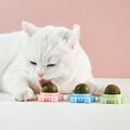 1/2x Katzen Leck Kugel Ball Katzenminze Kugel Spielzeug Katze Gesundheit