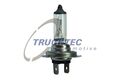 TRUCKTEC AUTOMOTIVE Glühlampe Hauptscheinwerfer 88.58.104 für VW GOLF 7 5G1 BQ1