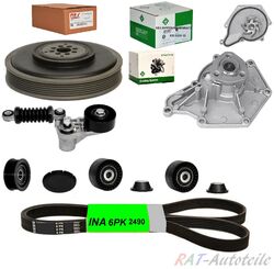 INA 529 0209 10+538 0409 10 + 6PK2490+Keilrippenriemensatz AUDI VW