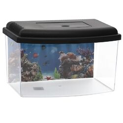 Mini Aquarium Terrarium Faunarium Zucht Becken Fisch Triops Garnelen Kunststoff