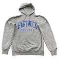 Vintage Champion Kapuzen Pullover S Grau Hartwick College Hoodie Sweatshirt