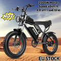 1000W/2000W E Bike 48/52V 15Ah/20Ah/40Ah Fat Tire Mountain Elektrofahrrad 20Zoll