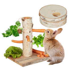 Kaninchen Spielzeug 2 tlg. Hasen Zubehör Meerschweinchen Futterbaum Nagerbaum