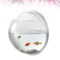  Aquarium Aquarienbecken Klare Vase Kleine Pflanzen Glaskugel