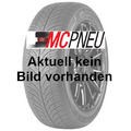 4x BERLIN TIRES Ganzjahresreifen (1 Satz) 205/55 R 16 TL 91V ALL SEASON 2 MFS