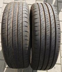 2 x 205/55R19 97V Sommerreifen Goodyear Efficient Grip Performance 2 2022