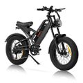 AiliFe X20B 1000W Elektrofahrrad 20 ZOLL Mountainbike 48V 15Ah E-bike 3 Modes