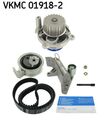 Wasserpumpe + Zahnriemensatz SKF VKMC 01918-2 für A4 AUDI VW B6 PASSAT B7 A6 C5