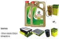 MANN-FILTER Inspektionspaket 10L CASTROL 5W-30 M passend für KIA Sportage SL