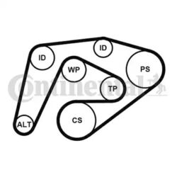 ORIGINAL® Continental Ctam Keilrippenriemensatz für Mercedes-Benz: SPRINTER