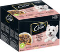 24 x 100g CESAR Feines Hundefutter Nassfutter Frischebeutel Favoriten in Sauce