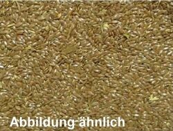 (EUR 3,89 / kg) Leinsamen gold/gelb 1A Qualität für Pferde und Vögel 10 kg