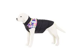 Hundejacke Winter Wasserdicht Hundemantel Hund Gepolsterte Weste Hundepullover