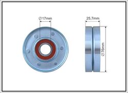 Umlenk-/Führungsrolle Keilrippenriemen CAFFARO 162-00 für C5 A8 A6 SKODA ALLROAD