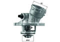 Thermostat TM 45 100D MAHLE für MERCEDES-BENZ DEUTZ-FAHR