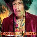 Experience Hendrix: the Best of (Ltd.Pur Edt.) von Jimi He... | CD | Zustand gut