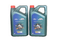 Original Motoröl Castrol Magnatec A5 5W30 WSS-M2C913-D 10 Liter 15F60F 2x