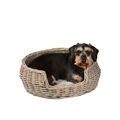 UNUS® Hundebett Hundekorb Hundekörbchen Schlafplatz Hund grau mit Kissen